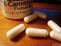 L - carnitine ( L - карнитин) 